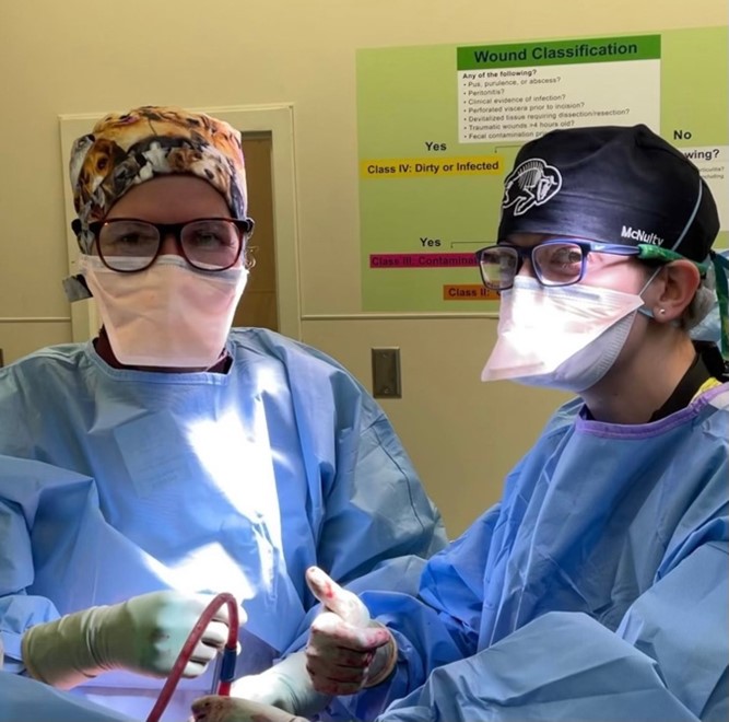 Women in Orthopedics