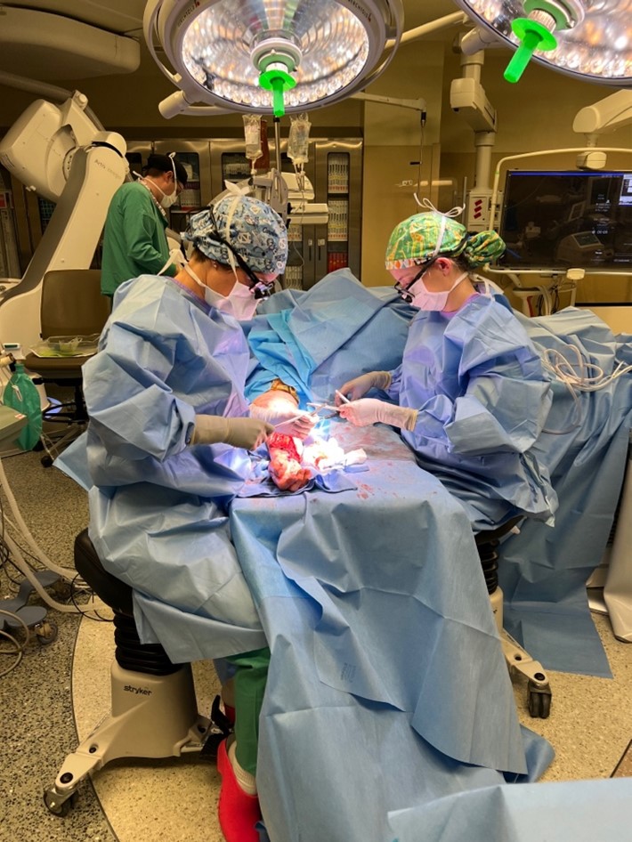 Women in Orthopedics