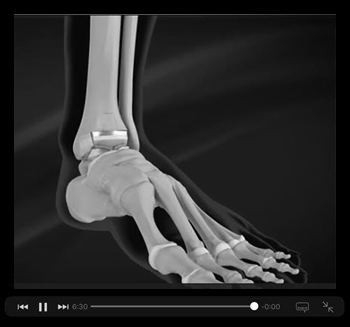 Patient Educational Videos