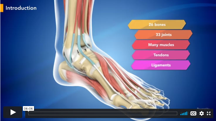 Patient Educational Videos