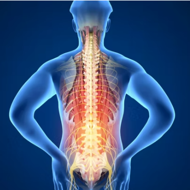 Spine, Back Pain