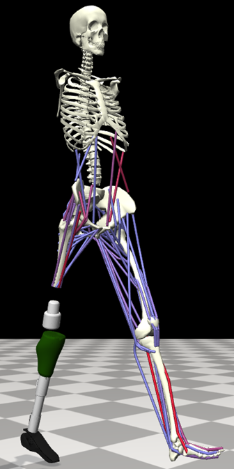 BALRG: Participate in Research