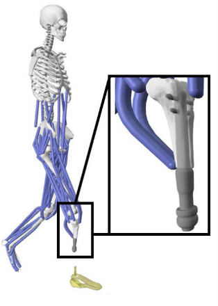 BALRG: Participate in Research