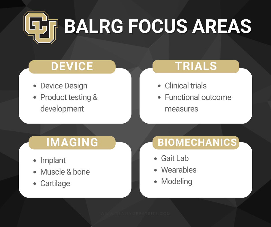 BALRG Focus Areas