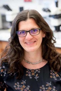 Sarah Calve, PhD