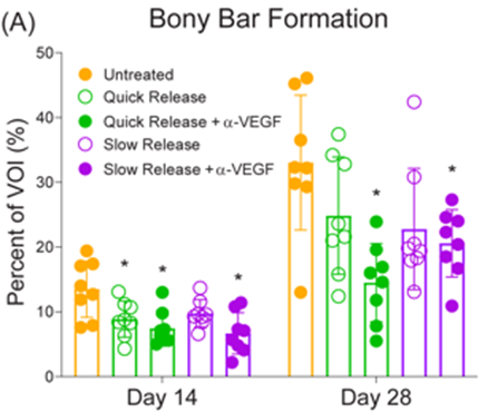 Bony Bar Formation