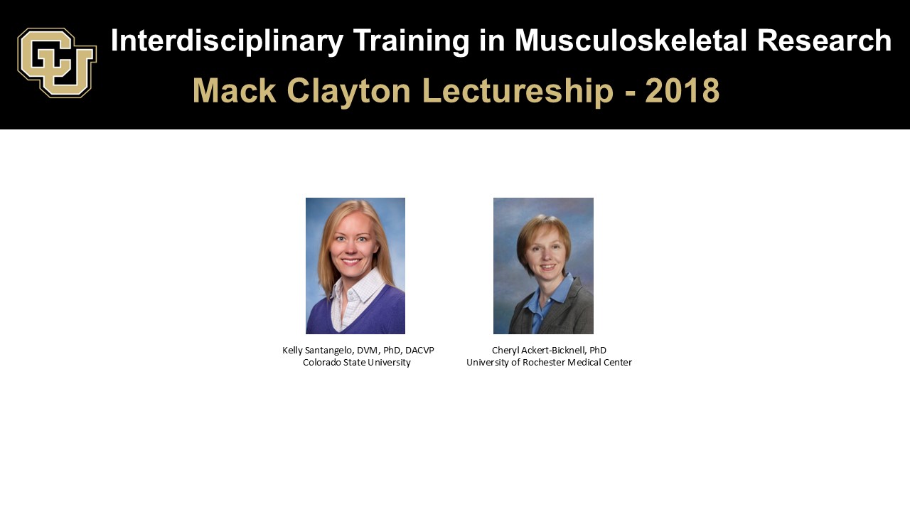 Mark Clayton Lectureship 2018