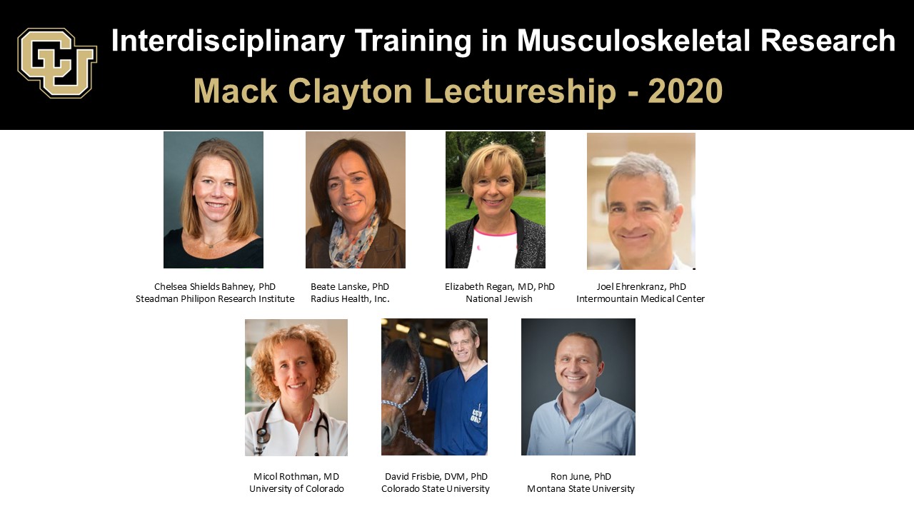 Mark Clayton Lectureship 2020