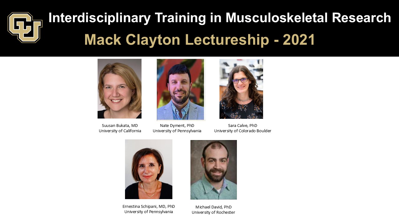 Mark Clayton Lectureship 2021