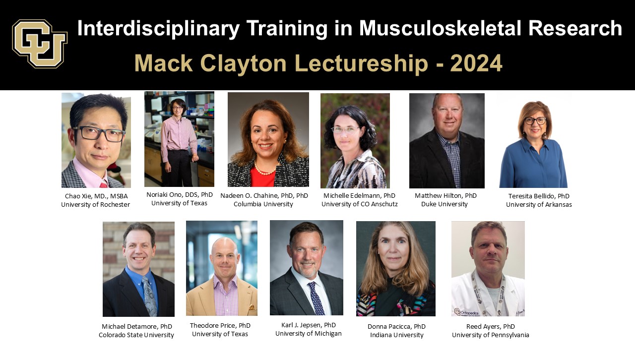 Mark Clayton Lectureship 2024