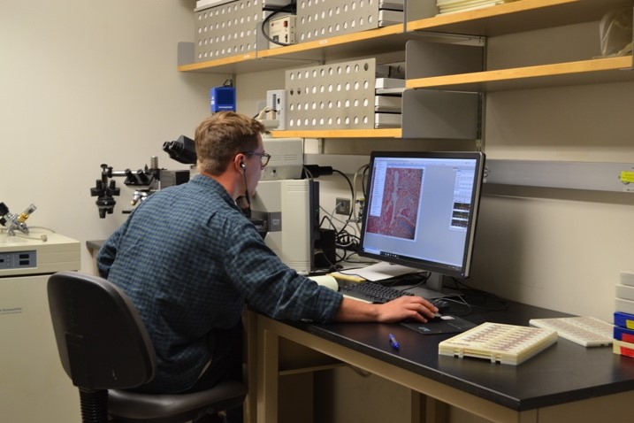 Tissue and Molecular, University of Colorado, Lab Services