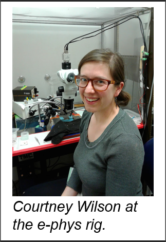 Sue Kinnamon Research Picture 2