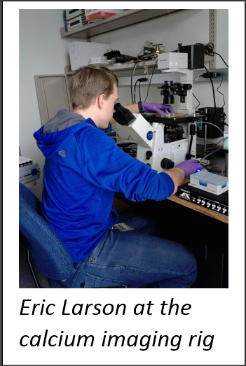 Sue Kinnamon Research Picture 3