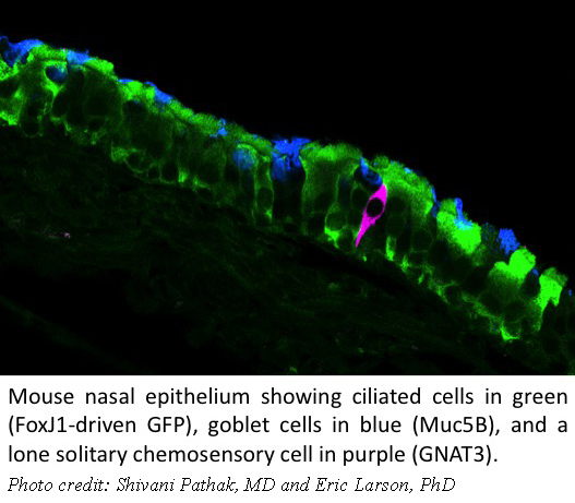 Vijay Ramakrishnan Research Photo #2