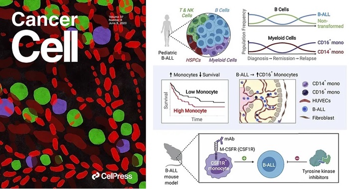 Extensive Remodeling of the Immune Microenvironment