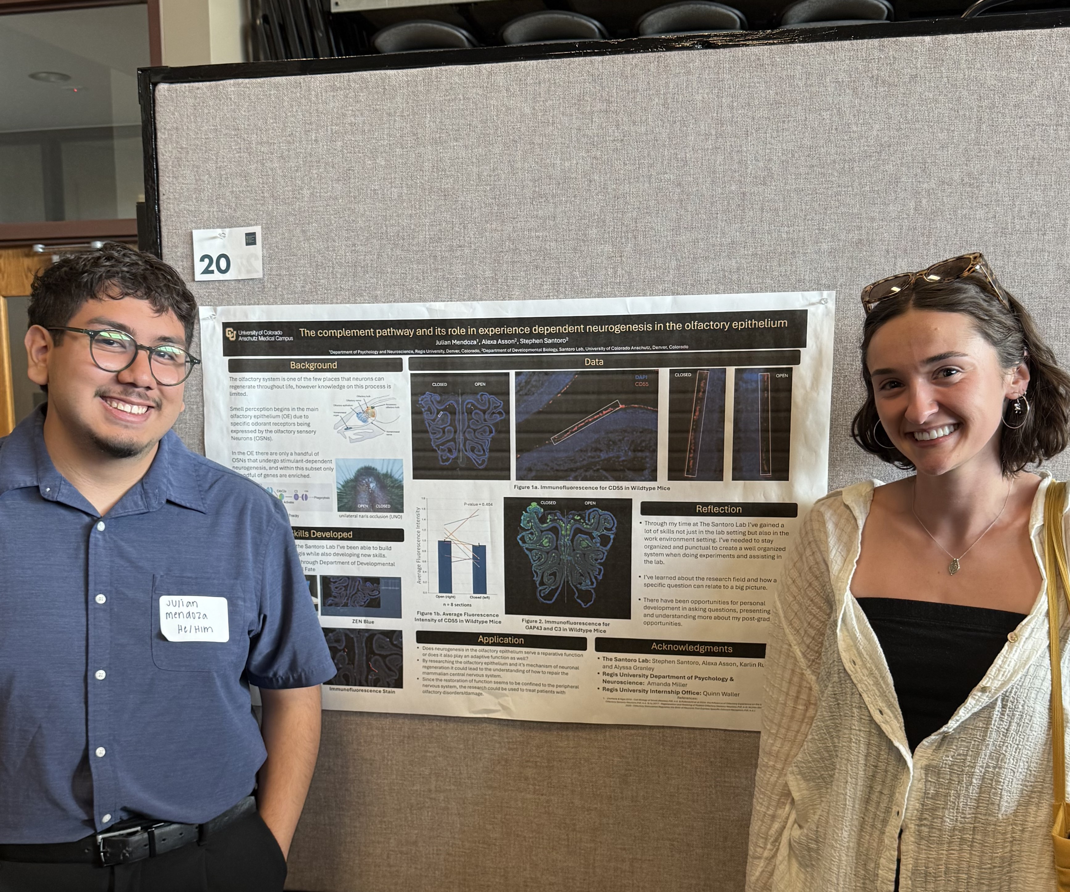 Undergraduate research conference