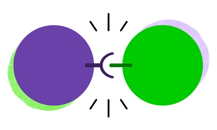 Project2 Cells Interacting