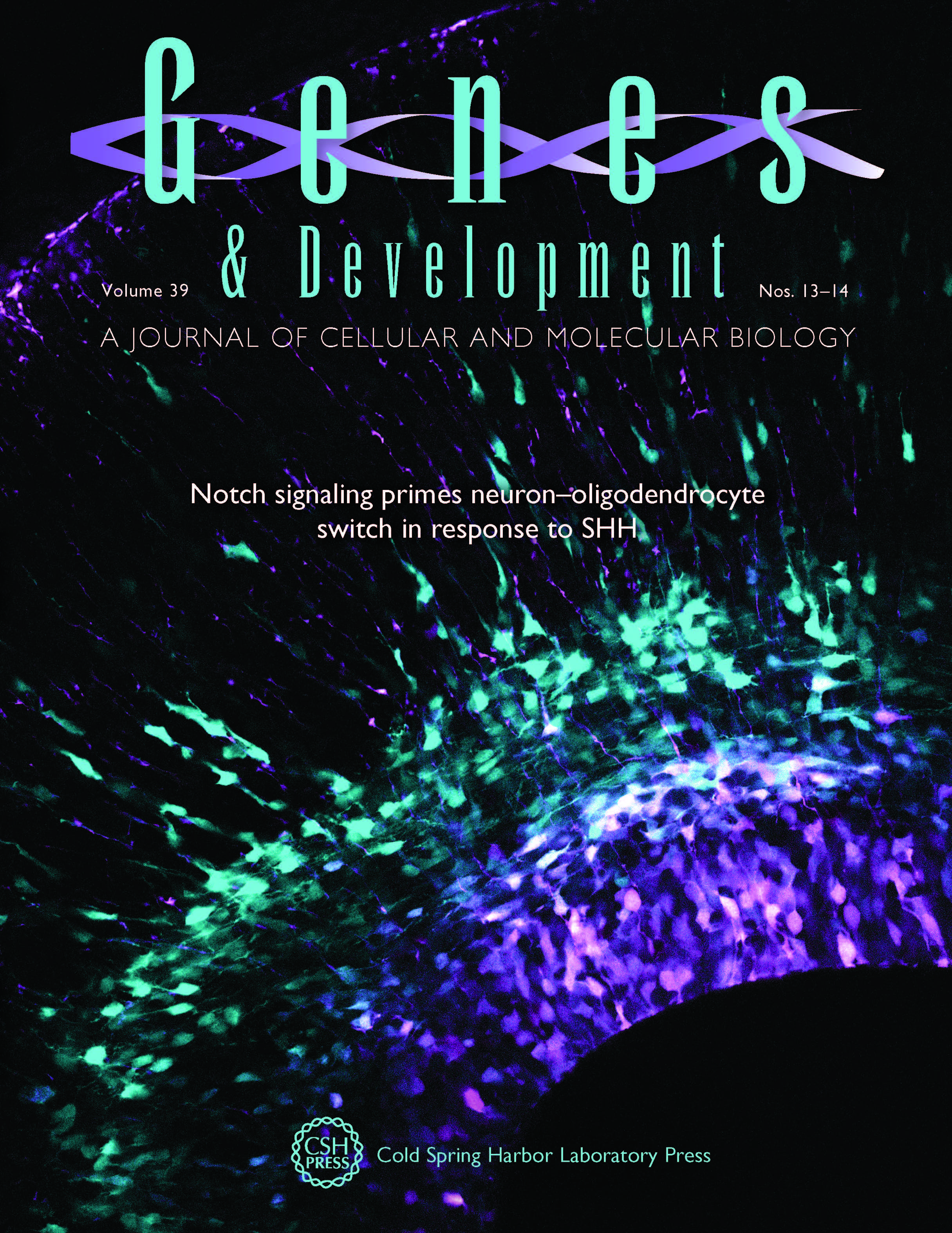 Publication Cover Franco lab June 2025