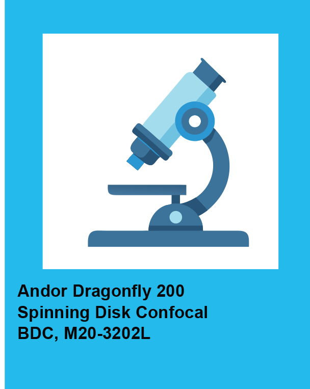 Dragonfly scope