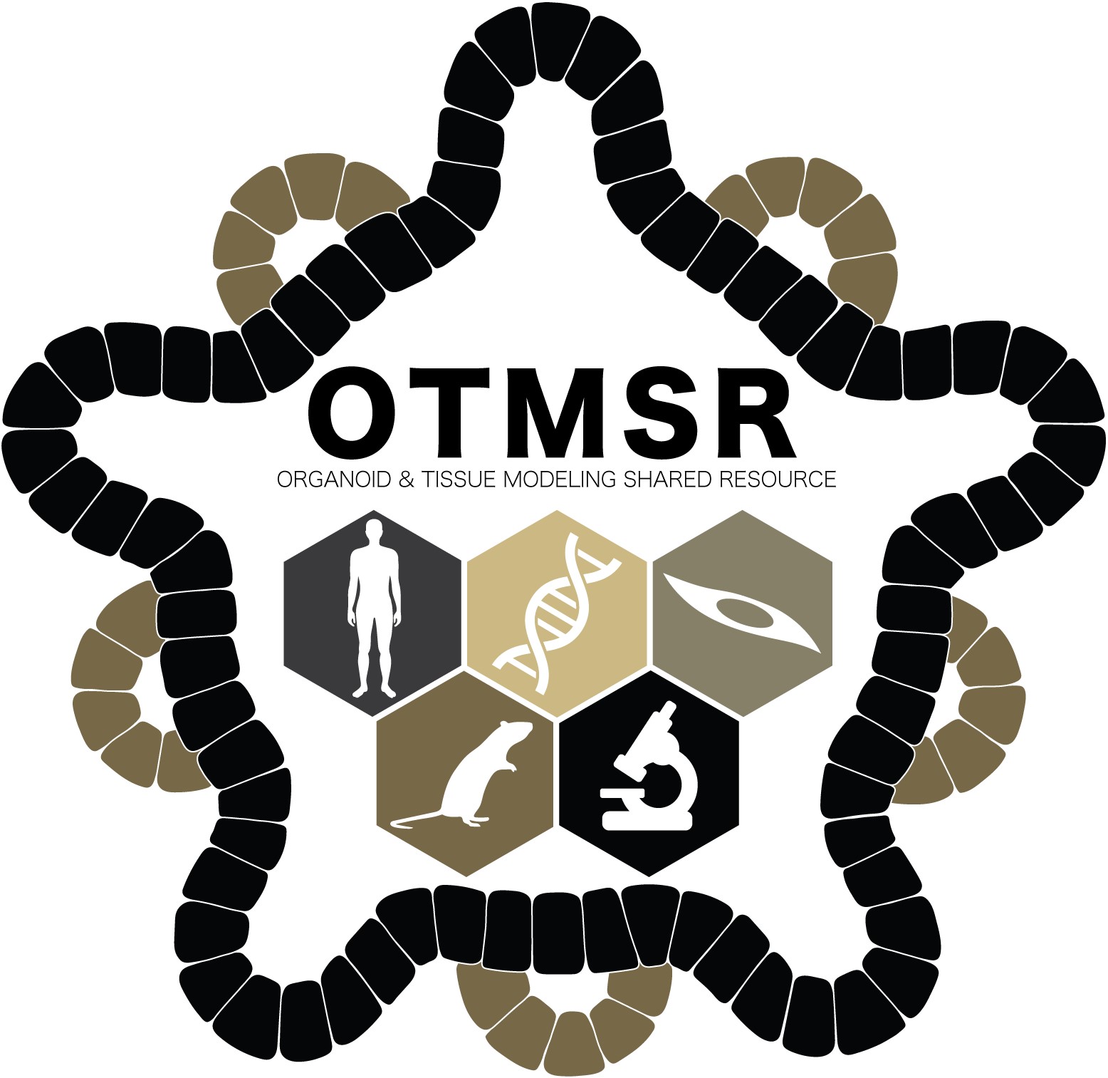 OTMSR logo