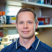 Pawlikowski, Bradley