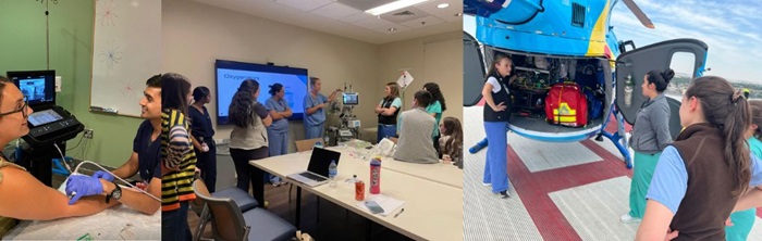 Education1 Education 1