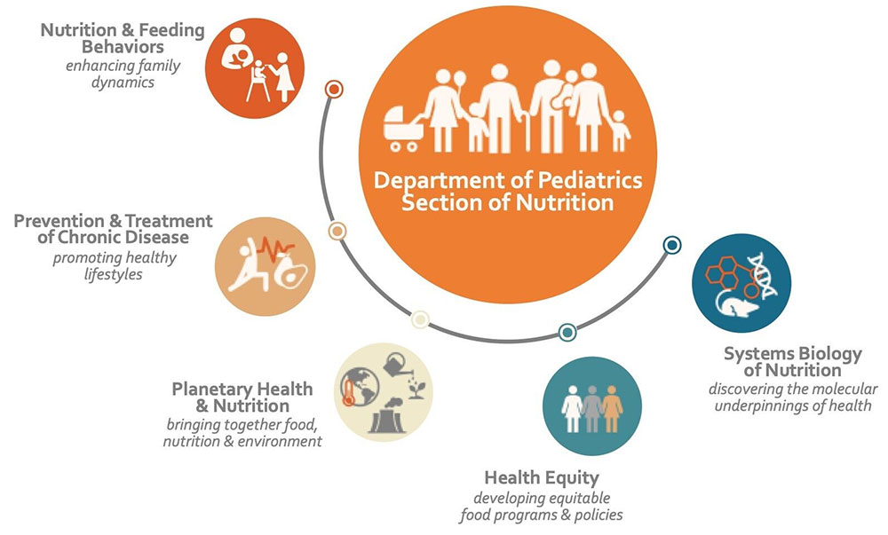 Nutrition Research Framework