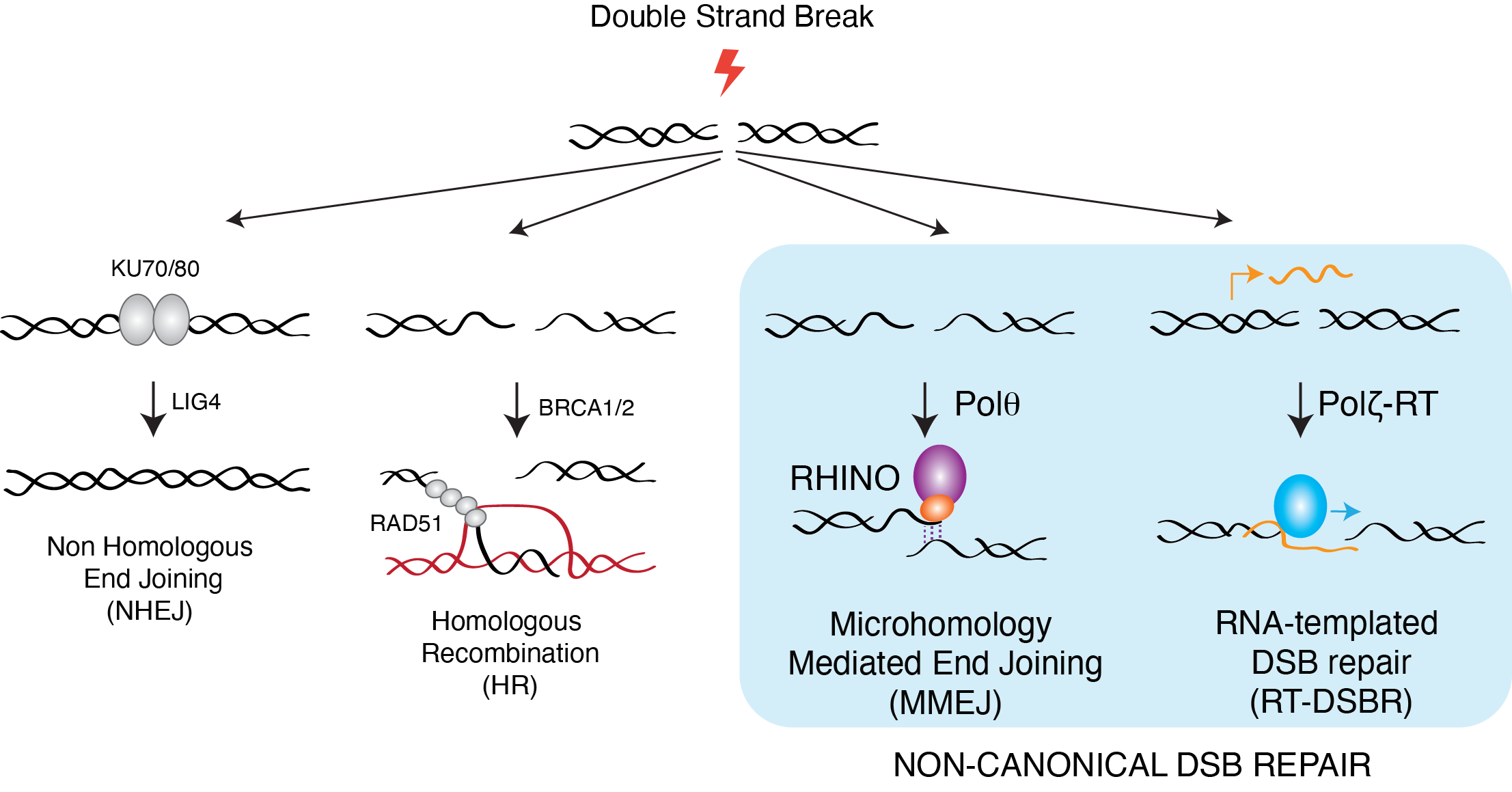 Schematic Reflecting Lab Research