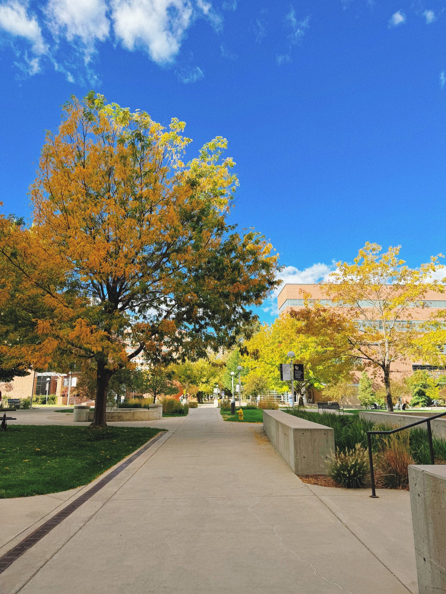 Anschutz Campus