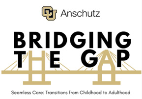 bridging the gap logo 