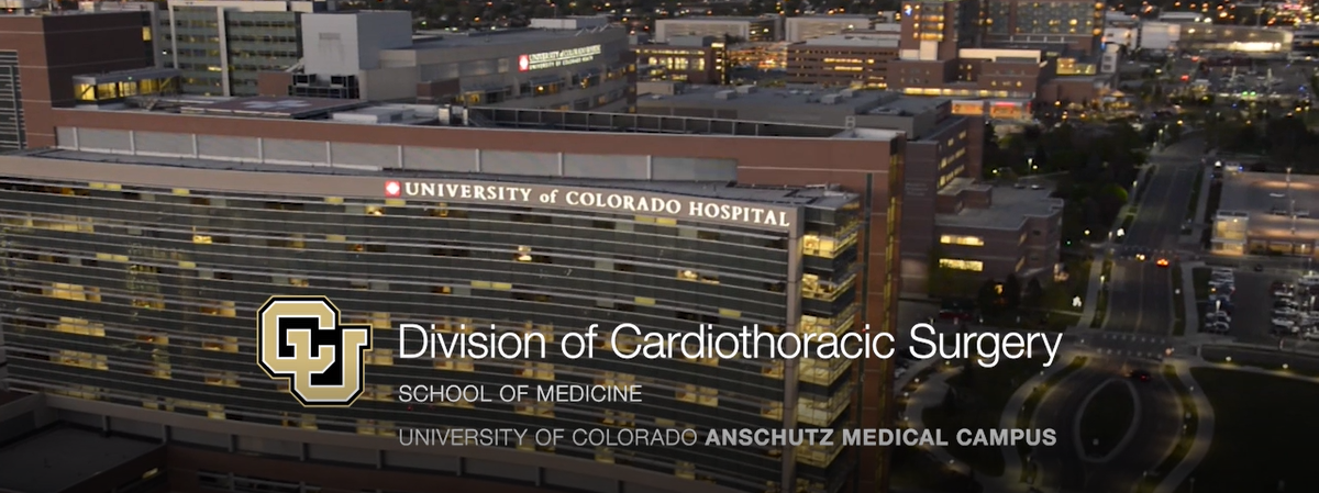 Cardiothroacic Fellowship Video