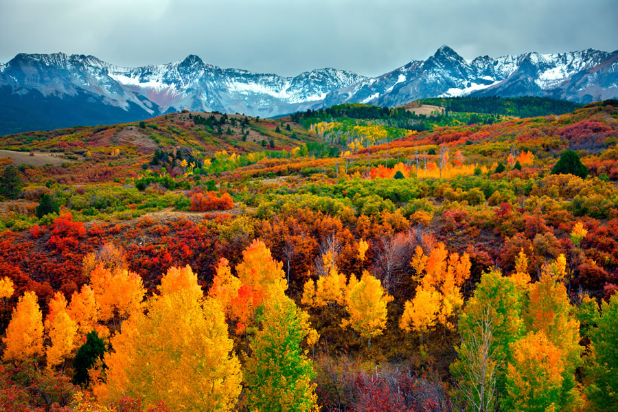 Colorado autumn