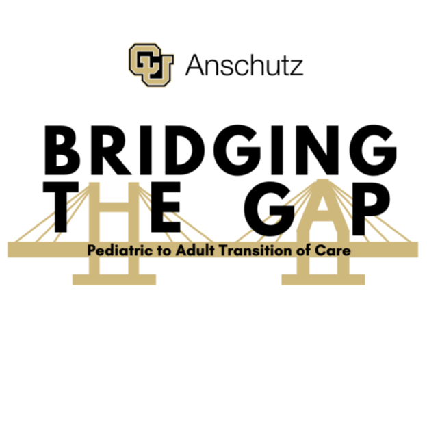 Bridging_The_Gap Picture