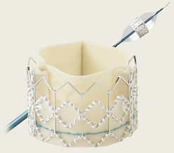Edwards SAPIEN Transcatheter