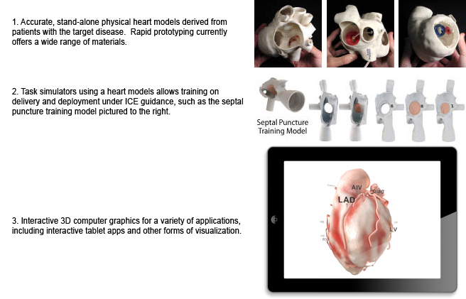 Structural_Heart - 2