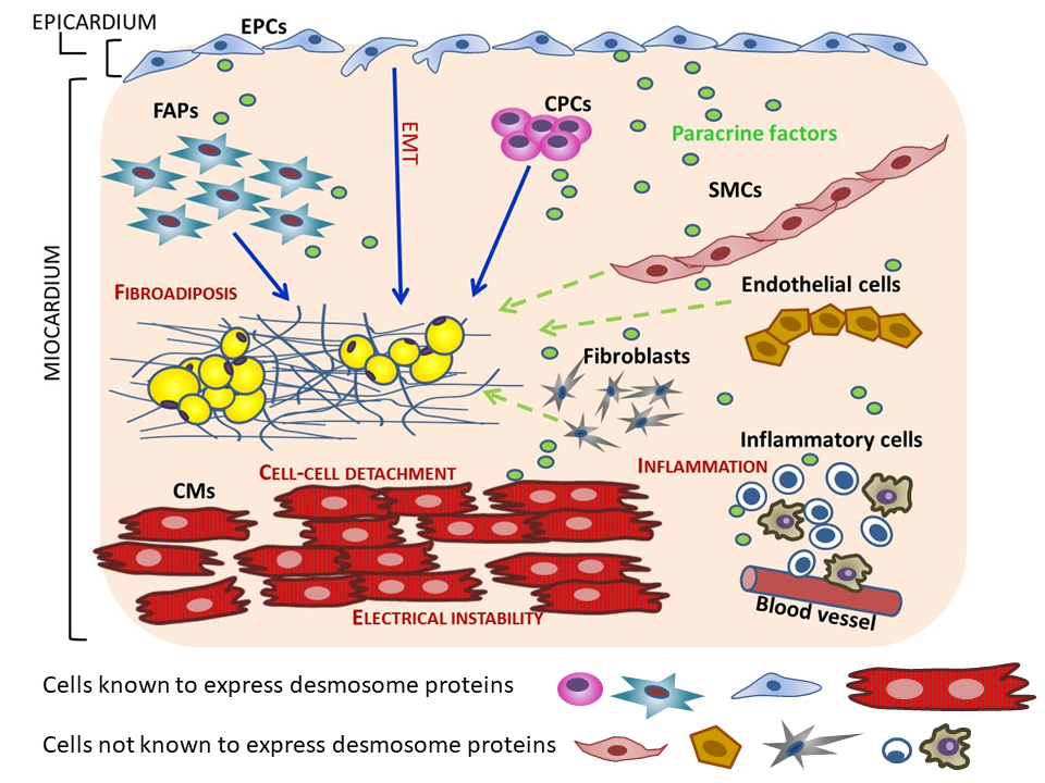 Crosstalk_cell typesv2