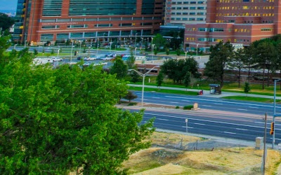 Lower left portion of campus photo