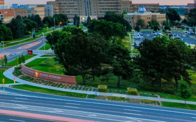 Lower right portion of image