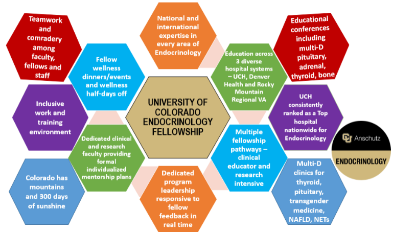 infographic containing all of the different highlights of the fellowship program