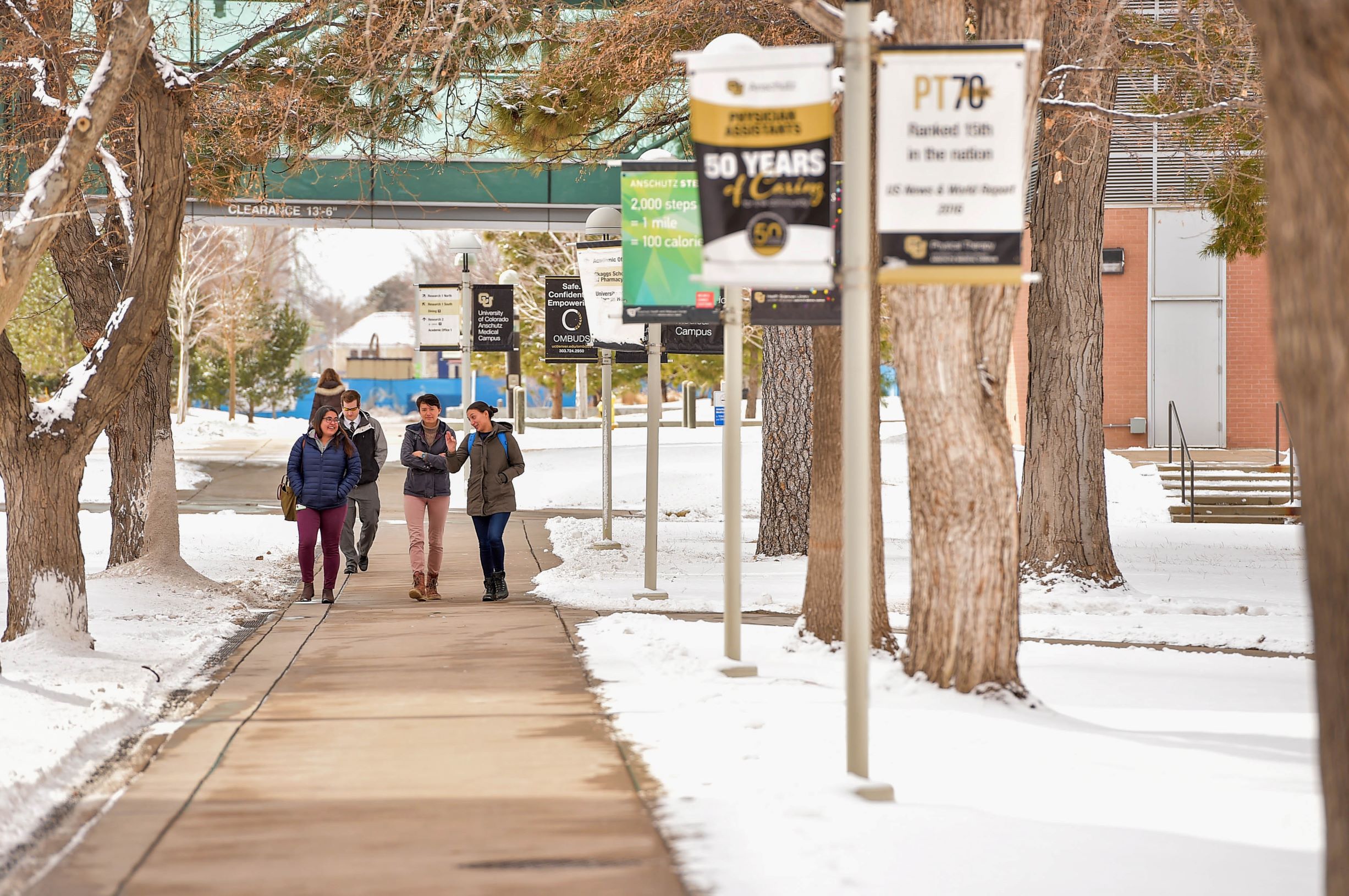 Fellowship Application Process