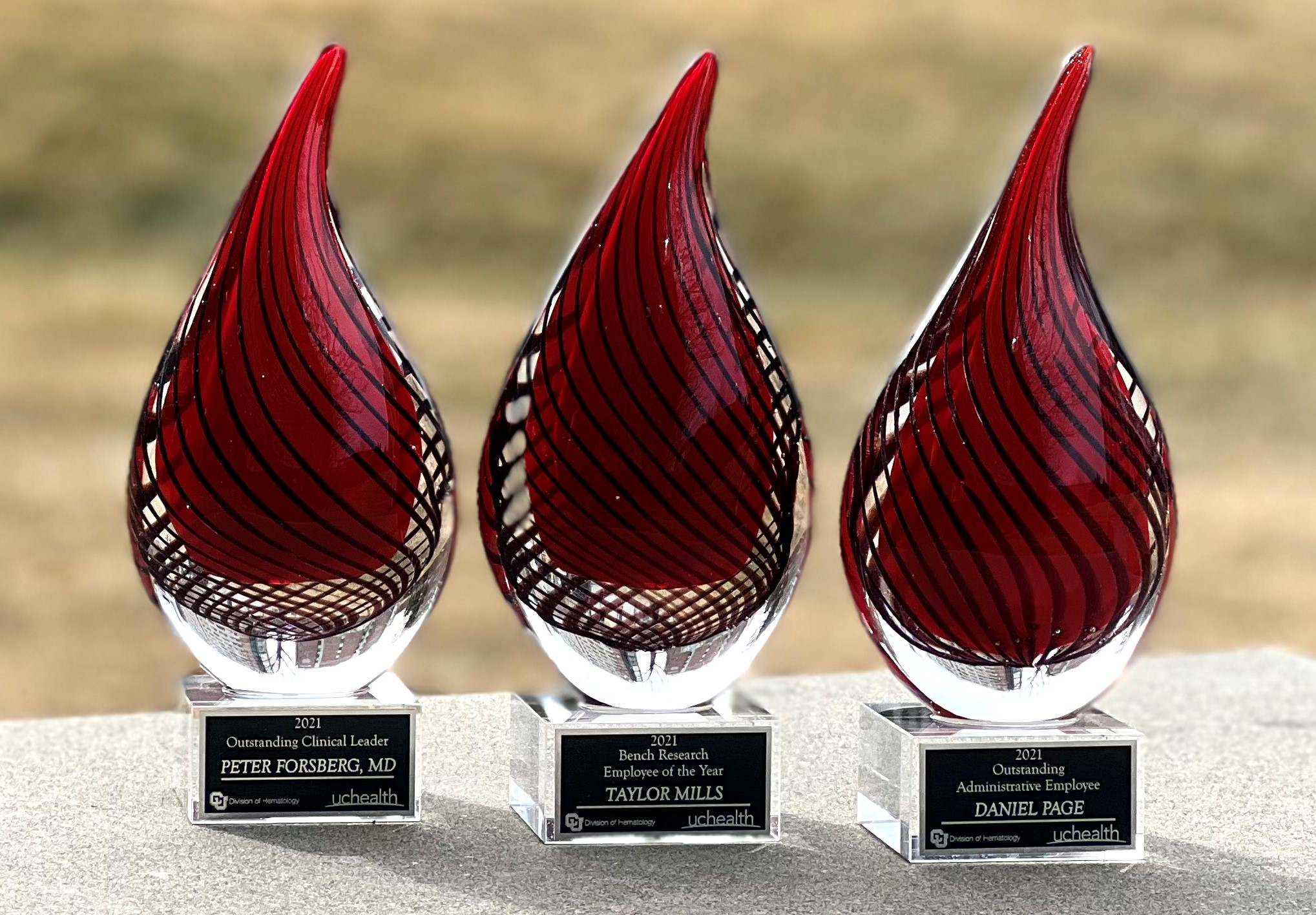 2021 Heme Year in Review Awards