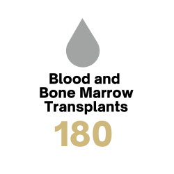 2024 Blood & Bone Marrow Transplants