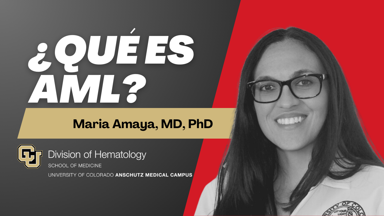 Patient Education AML Spanish - Division of Hemtology