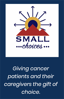 Small Choices Foundation Logo