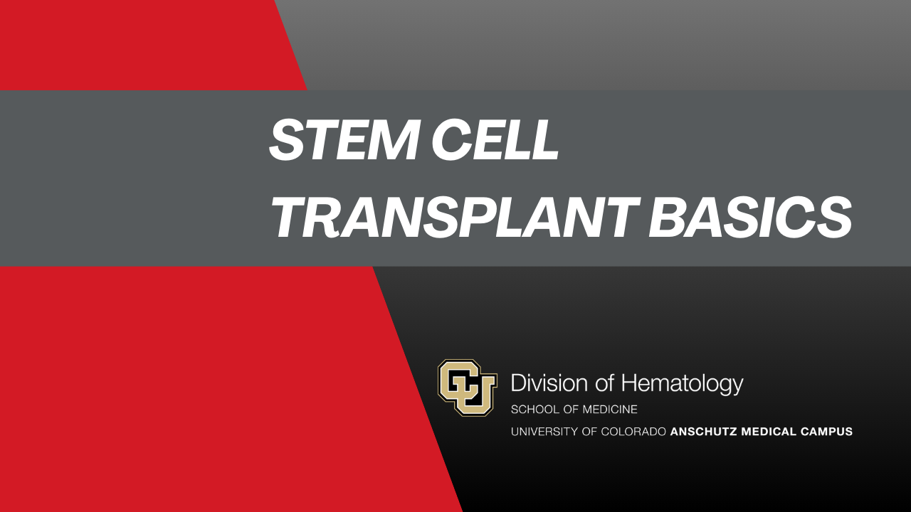 Stem Cell Transplant Basics - Division of Hematology