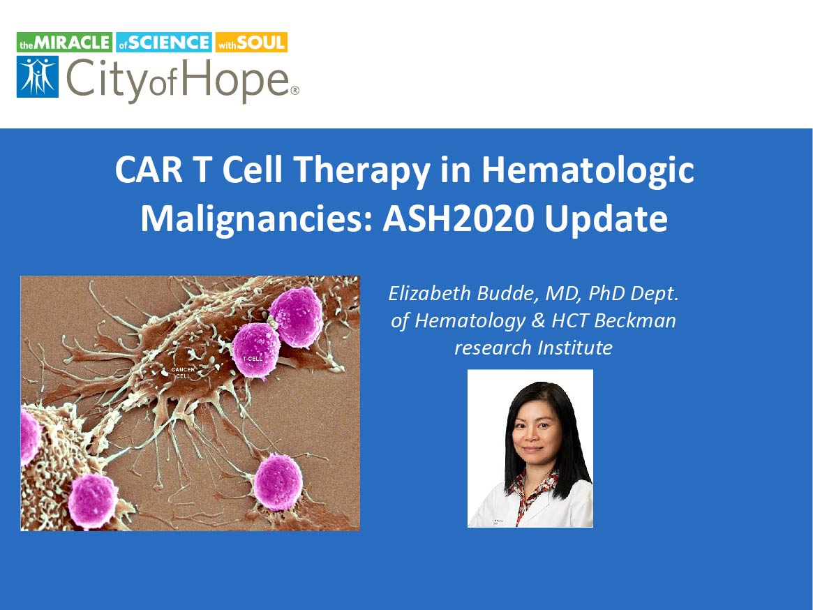 Elizabeth Budde – CAR-T Cell Therapy in Hematologic Malignancy