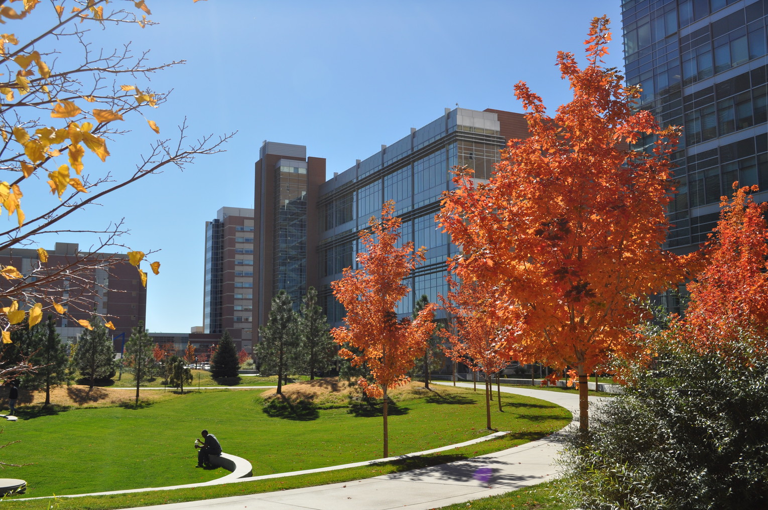 CU Anschutz Campus in Fall