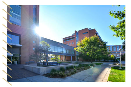 DHM Summer Newsletter Campus Photo