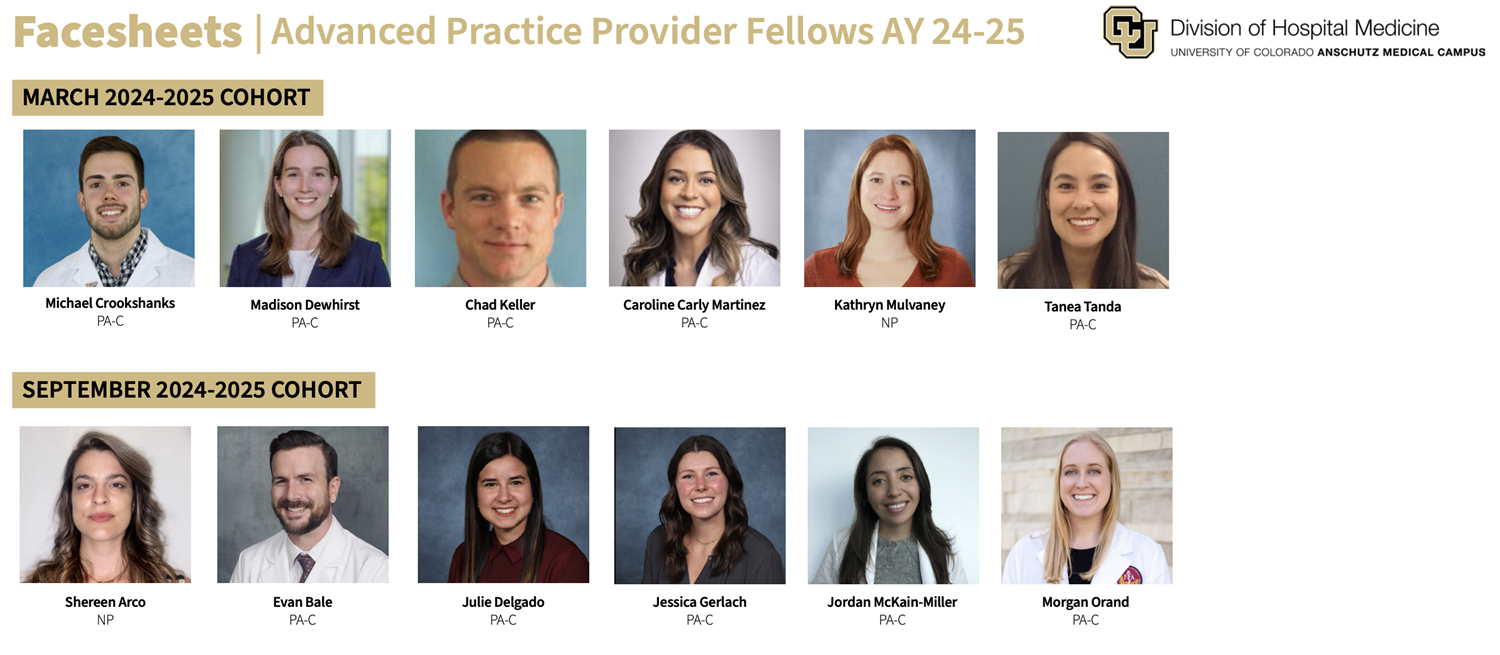 Graphic of Current Advanced Practice Fellows