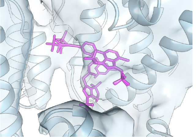 3D closeup of Virus DNA